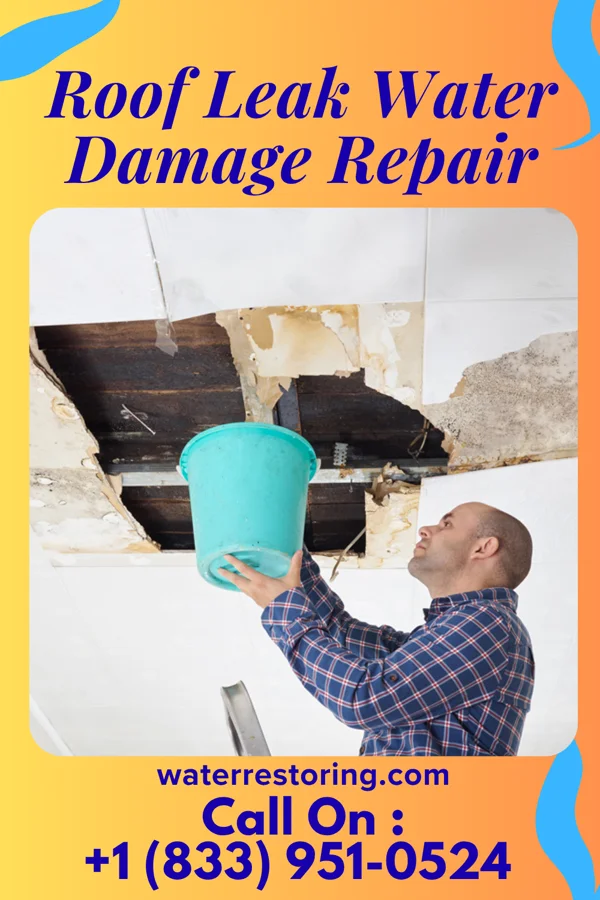 Roof Leak Water Damage Repair in Newcastle, TX