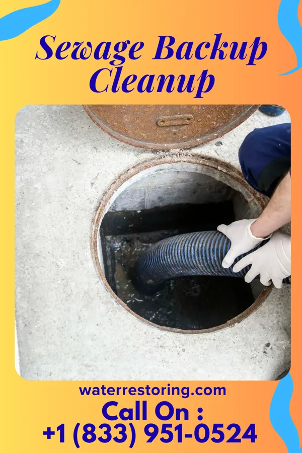 Sewage Backup Cleanup in Newcastle, TX
